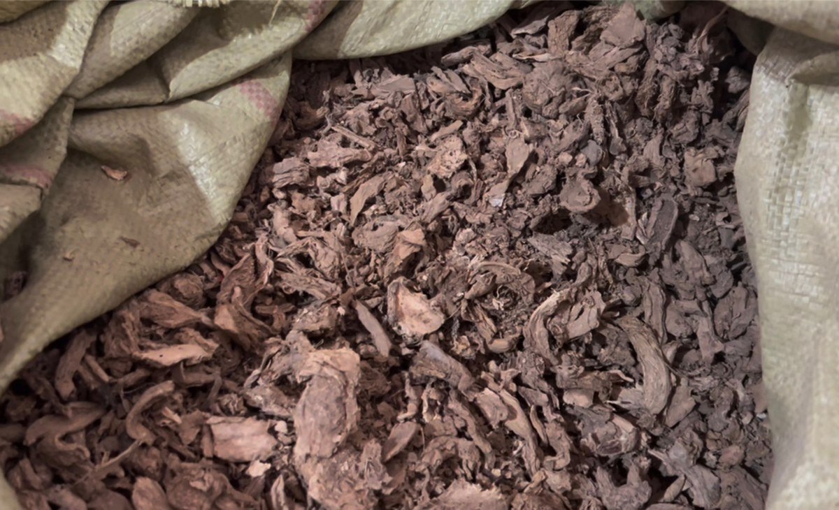 Undercover investigation showing crushed herbal debris and impurities