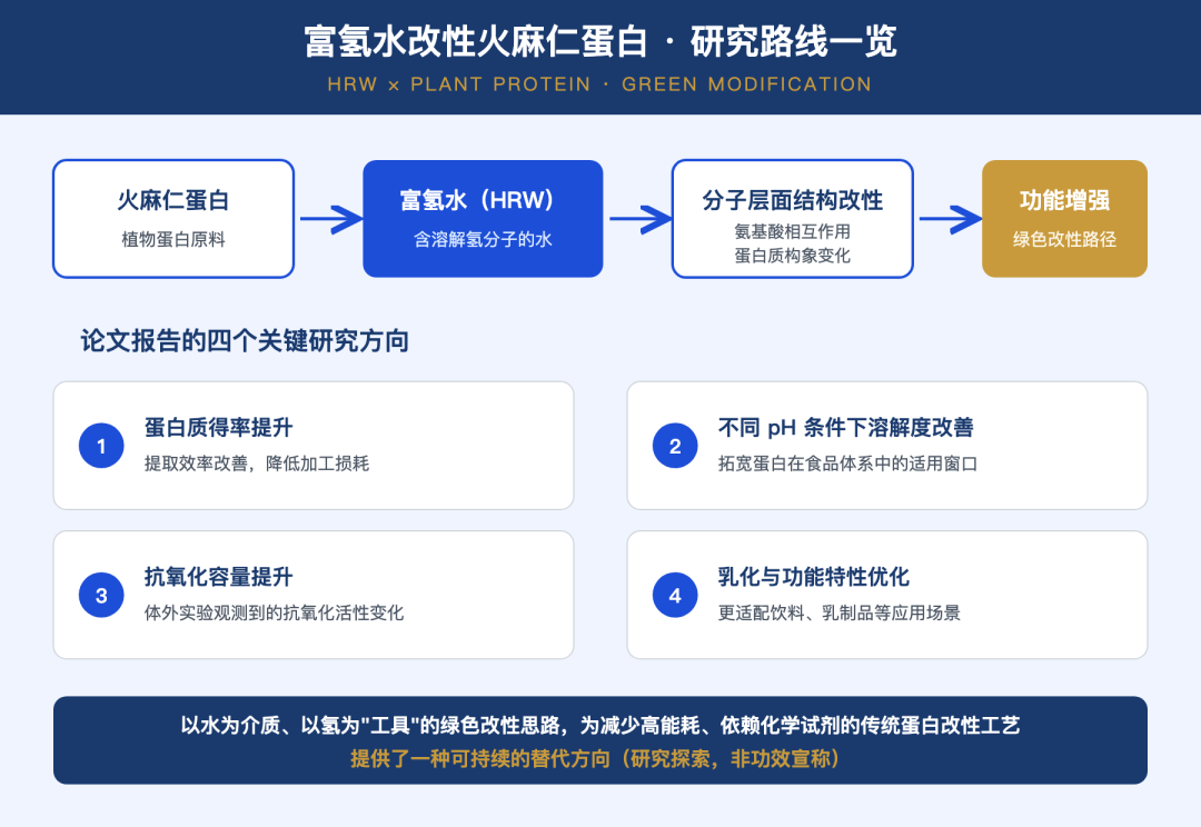 富氢水与火麻仁蛋白相互作用的机制示意图