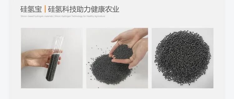 富氢水改性火麻仁蛋白的四大关键发现
