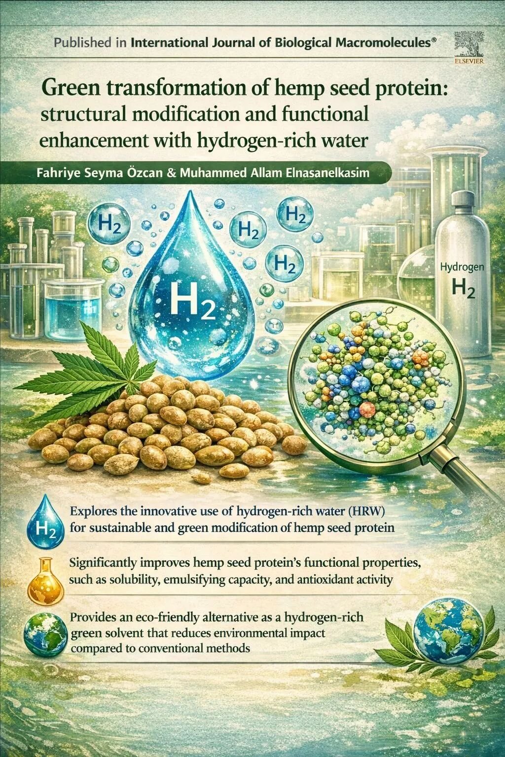 富氢水对火麻仁蛋白绿色改性的论文视觉摘要