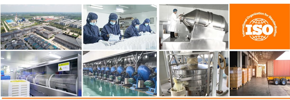 MQ functional ceramic materials workshop